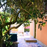 Apartments Zdjelar * Porec