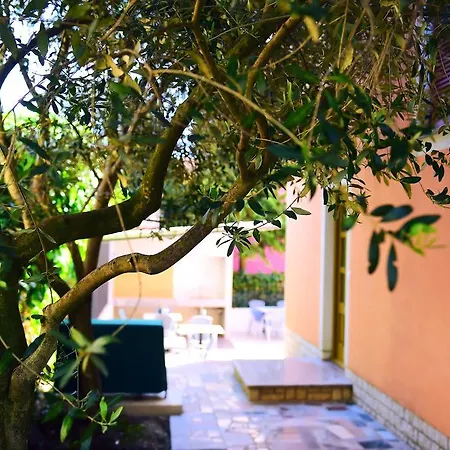 Apartments Zdjelar * Porec